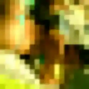 Touty (45 ans) à Cassagne cherche une rencontre ce soir