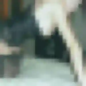 Photo perso de Valérie, 27 ans à Castellar - rencontre sans lendemain