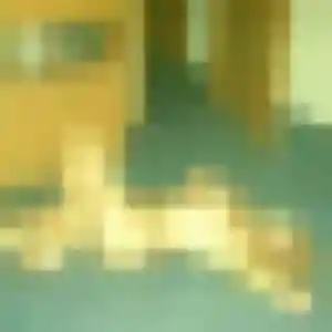 Belle Viviane, 22 ans à Castellar - voir sa photo