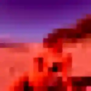 Suzanne, 22 ans, dispo pour plan cul à Castellare-di-Casinca