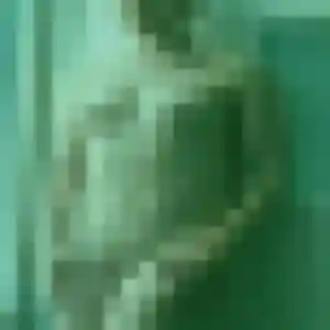 Photo de Saffie à Castelnau-de-Montmiral (40 ans) - plan cul anonyme