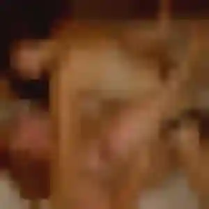 Sexy Fama, 28 ans à Castels et Bézenac - voir sa photo