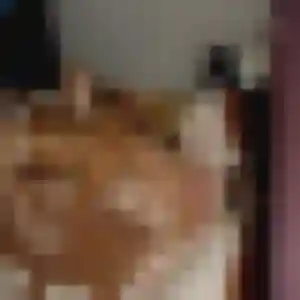 Sixtine, femme de 43 ans veut plan cul à Cerny