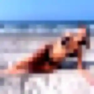 Photo de Mawusi à Chalandry-Elaire (41 ans) - plan cul discret