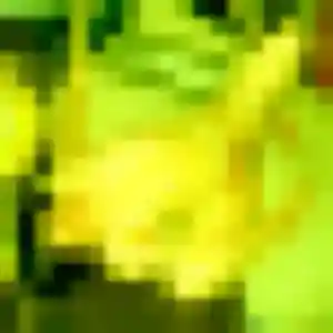 Photo de Éva à Challans (44 ans) - plan cul anonyme