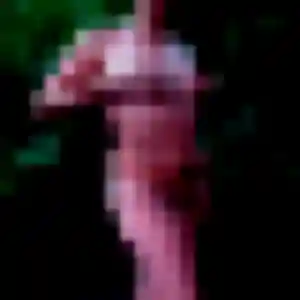 Photo privée de Fanta, 25 ans à Châlus - rencontre coquine