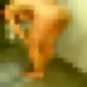 Carine, 30 ans, disponible à Chamelet pour un plan cul