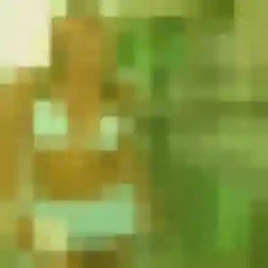 Félicité, 42 ans, disponible à Champagnier pour une rencontre coquine