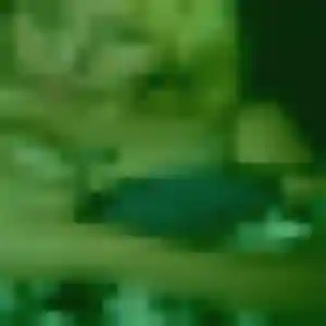 Photo privée de Wilda, 42 ans à Chapdes-Beaufort - rencontre sans lendemain