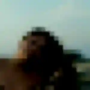 Photo de Dieynaba à Château-Chervix (31 ans) - plan cul discret
