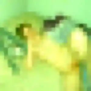 Photo privée de Zineb, 32 ans à Châteauneuf-sur-Cher - plan discret