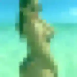 Perrine, fille de 32 ans cherche plan cul à Châtel-Guyon