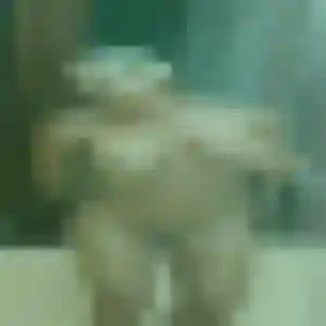 Photo de Emilie à Châtenois (38 ans) - plan cul anonyme
