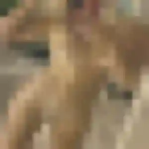 Photo sexy de Georgette, 32 ans à Cheval-Blanc - plan discret
