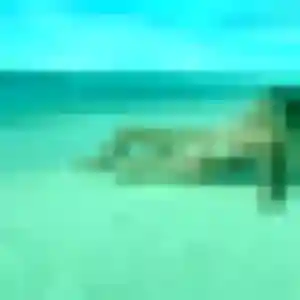 Sexy Wivine, 26 ans à Chézy-sur-Marne - voir sa photo
