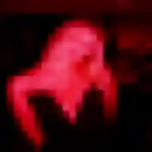 Photo exclusive de Bernadette, 35 ans à Chouppes - rencontre coquine