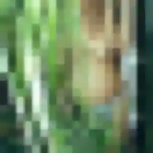 Photo de Kaddy à Collorec (35 ans) - plan cul discret