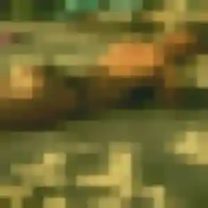 Photo exclusive de Adwoa, 24 ans à Condat-sur-Vienne - plan discret