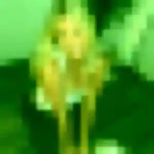 Photo sexy de Axelle, 23 ans à Contrexéville - rencontre coquine
