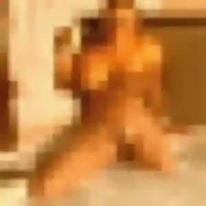 Profil de Leïla à Corgnac-sur-l'Isle (26 ans) - plan cul anonyme
