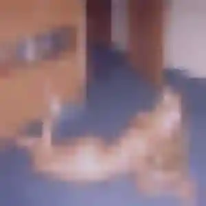 Photo de Déborah à Crach (39 ans) - plan cul anonyme