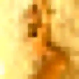 Photo exclusive de Malika, 24 ans à Crayssac - rencontre sans lendemain