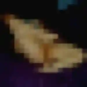 Rosalie, femme de 37 ans cherche plan cul à Crevant-Laveine