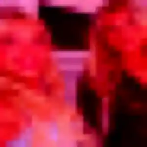 Photo de Yasmina à Cruguel (35 ans) - plan cul anonyme