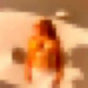 Séraphine, 35 ans, cherche un plan cul à Cublize