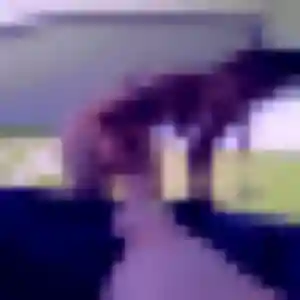 Jolie Njeri, 23 ans à Culoz-Béon - la contacter