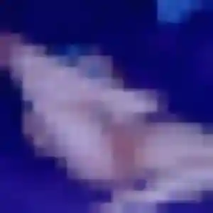 Photo de Esi à Cusset (34 ans) - plan cul discret