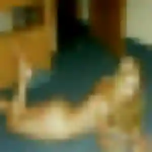 Léonie (25 ans) à Cuttoli-Corticchiato propose un plan cul maintenant