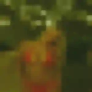 Ursula, 33 ans, disponible à Cuttoli-Corticchiato pour un plan cul