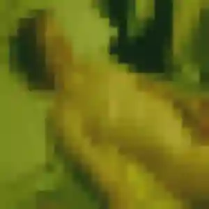Jumoke, fille de 39 ans propose plan cul à Dammartin-sur-Tigeaux