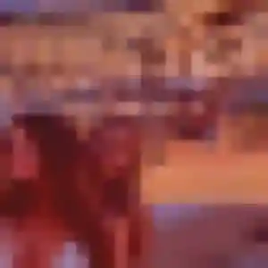 Photo de Suzanne à Die (34 ans) - plan cul anonyme