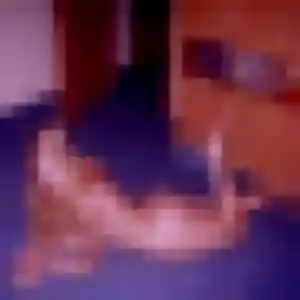 Chiamaka, femme de 35 ans cherche plan cul à Dinsheim-sur-Bruche