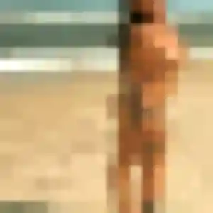 plan cul à Échallon : photo de Suzanne, 33 ans - accès libre