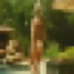 Photo de Nadia à Égliseneuve-près-Billom (35 ans) - plan cul anonyme