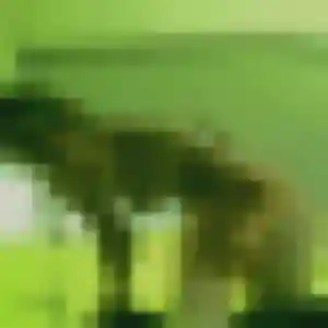 Naïma, 37 ans, en ligne à Esbly pour une rencontre coquine