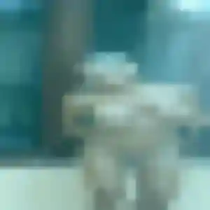 Photo de Adjoavi à Étiolles (42 ans) - plan cul discret