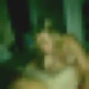 Profil de Bousso à Étoutteville (29 ans) - plan cul gratuit