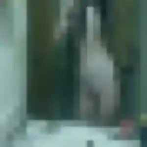 Découvre Jumoke, 33 ans à Eyjeaux en privé