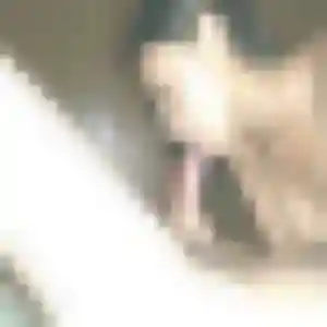 plan cul à Faverolles-et-Coëmy : photo de Bousso, 23 ans - accès libre