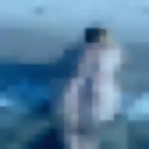 Tiffany (29 ans) à Félines cherche une rencontre ce soir