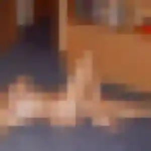 Sokhna, 30 ans, dispo pour plan cul à Férel