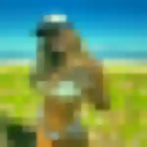 Belle Shanelle, 37 ans à Ferney-Voltaire - voir sa photo