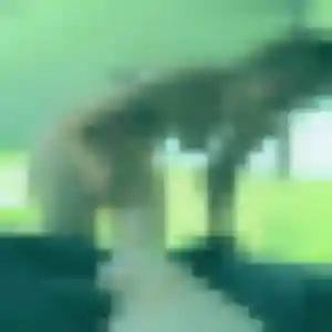 Photo exclusive de Yaa, 34 ans à Fontaine-Bellenger - rencontre coquine