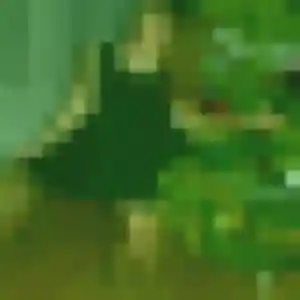 Photo de Zawadi à Fontvieille (43 ans) - plan cul anonyme