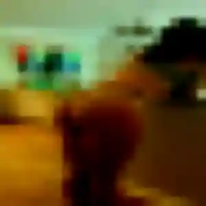 Téning, 24 ans, en ligne à Frahier-et-Chatebier pour une rencontre coquine