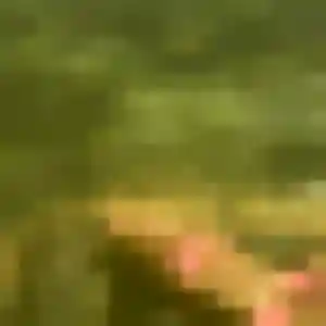 Photo perso de Shérazade, 38 ans à Frotey-lès-Lure - rencontre coquine